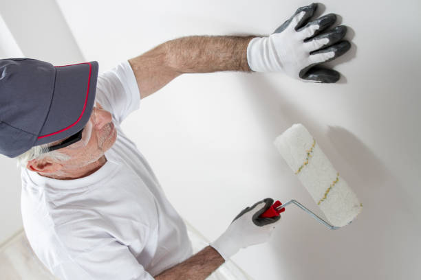 Best Mold Prevention Services  in Iraan, TX