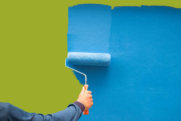 Best Mold Damage Restoration  in Iraan, TX
